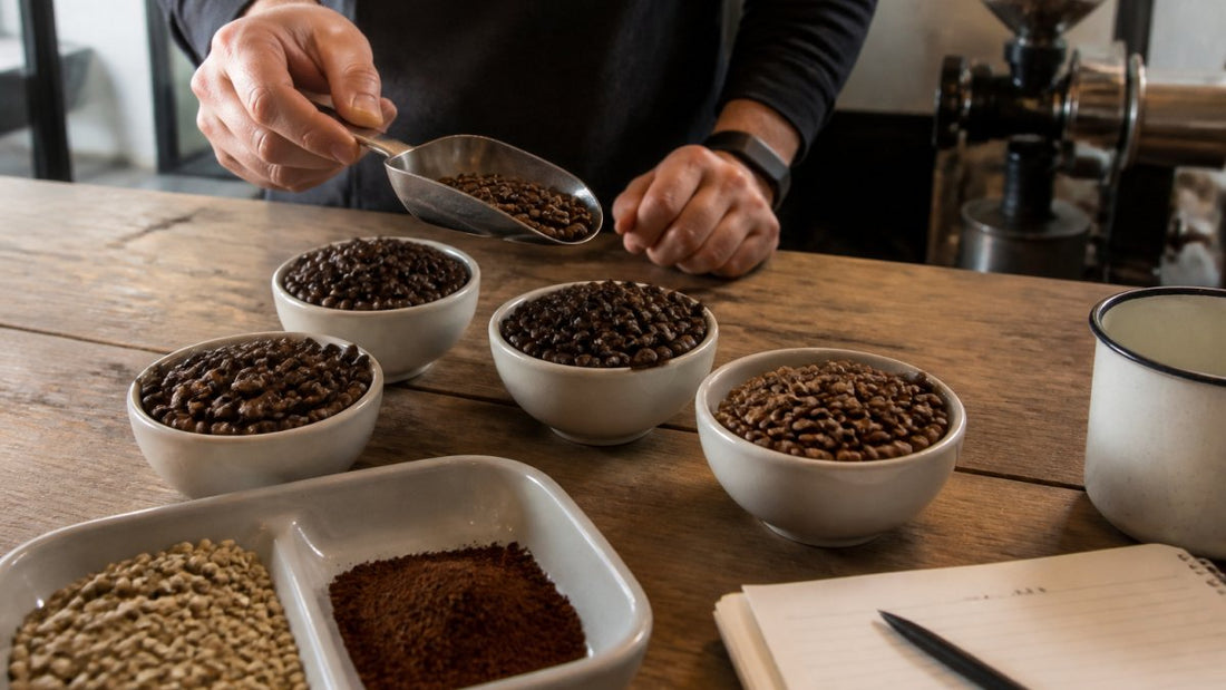 How to Choose Coffee Beans: A 2026 Buyer's Guide