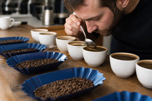 Specialty Coffee Grade Explained: 2026 Guide